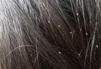 最新爆料 第4页