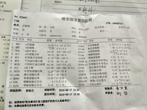 肿胀菌视频,揭示其神秘生物特性与生态作用