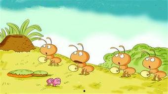 蚂蚁搬家的故事视频,团结协作，共筑家园的智慧之旅