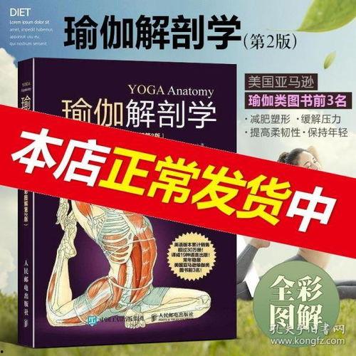 解剖学入门视频